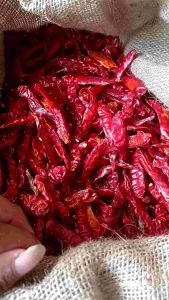 ( 100gram ) cengek/cabe kering teja super pedas