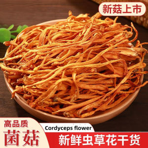 Cordyceps flower Dry goods Farmhouse Spore head worm grass flower Mushroom Soup in Pot