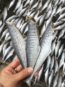 KHÔ CÁ THU BỎ ĐẦU KHÔNG MẶM - VỊ VỪA ĂN - VỰA KHÔ HÀ VY