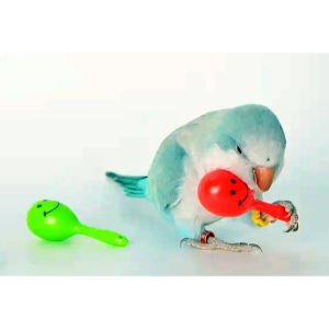 Magnifica Bird Rattle Shaker Toy (per piece)