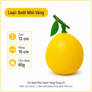 Trái Bưởi Xanh/ Vàng (Size Nhỏ Trung Đại) trang trí Cao cấp | Trái Cây Nhựa foam Trái Cây trang trí Trái Cây Mô Hình