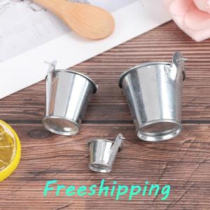 baoxue 1Pcs Dollhouse Mini Iron Bucket Miniature Model Mini Dollhouse Decorations Ornaments Children Beach Small Bucket Toy