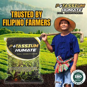Potassium Humate 500 gam /palay/ corn / mais/ sugarcane/ ricefield / fruits and Vegetables