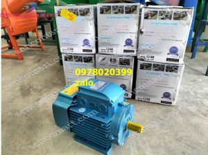 Mô tơ TaFaCo toàn phát 3kw  1400v/v