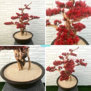 Pohon Artificial Tanaman Hias Daun Lohansung Merah / Orange Latex Pot Semen Dekorasi Rumah