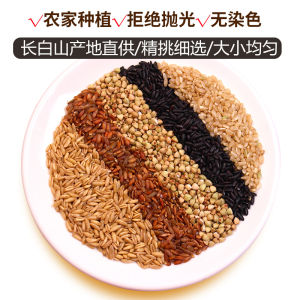 500g Five Colors Brown Rice Whole Grains Rice 五色糙米 (糙米 黑米 红米 燕麦米 荞麦米)粗粮米 五谷杂粮