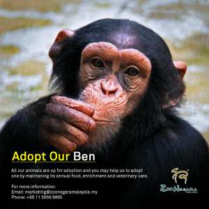 Zoo Negara - Adopt our Ben