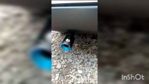 knalpot srigala bensin guk guk APV carry calya FUTURA zigra alya dll