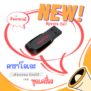 คาราโอเกะ แฟลชไดร์ฟ แถมซาวด์สด พร้อมคู่มือการใช้งาน