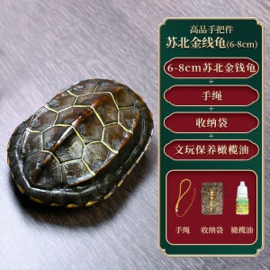 Complete Turtle Shell Natural Tortoise Shell Clean Empty Turtle Cultural Play Six Yao Turtle Shell I Ching Play Handheld Money Ornament