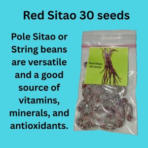 Eyas Farmlet Plant Nursery Red Pole Sitao 30 seeds/ String beans/ Vegetable Seeds