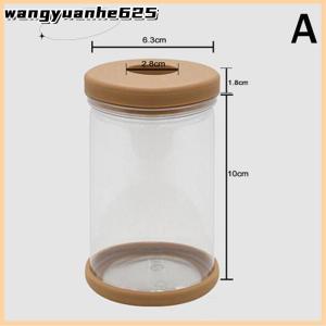 [WYH Store] COD Lazy Transparent Flowerpot Hydroponic Automatic Water Absorption Flowerpot