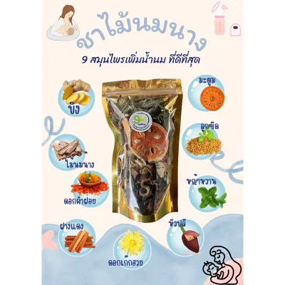 สมุนไพรเพิ่มน้ำนม กระตุ้นน้ำนม ชาไม้นมนาง และสมุนไพรอีก 9 ชนิด