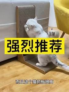 L-Shaped Cat Scratching Board with Cat Bed Large Corrugated Cardboard Cat Scratcher