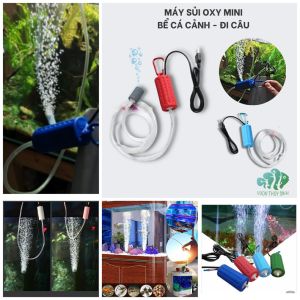 (Hàng tốt) Bộ máy sục sủi khí oxy mini bể cá cảnh thủy sinh siêu êm hàng cao cấp máy bơm khí oxy hồ cá