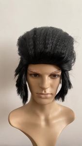 The rock singer Elvis Presley Cosplay Funny wig for party dance and Halloween costume mens wig headgear