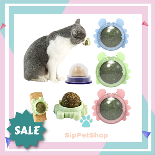 Mainan Catnip bola roll candy untuk Catnip Ball dengan perekat di  bagian belakang Lazada Indonesia