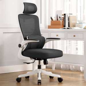 AIBM Office Chair Ergonomic Desk Chair Computer Mesh Chair High Back Lumbar Support  Mesh Office Chair