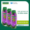 Bộ 3 Dầu gội Palmolive kèm xả 2-trong-1 chiết xuất thiên nhiên 180ml/chai. 