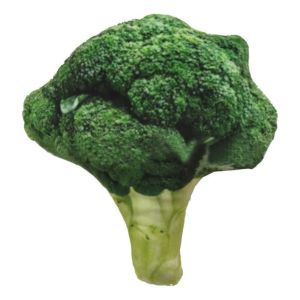 FMSRZX Unique Funny Squeaky Poached Egg Carrot Sound Chinese Cabbage Food Shape Chew Toys Dog Toys Puppy Toy Pets Supplies