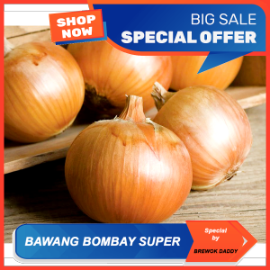Bawang Bombay SUPER Bawang Merah Bawang Putih Brewok Daddy