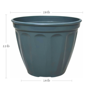 กระถาง กระถางแคคตัส กระถางโรมัน 2 2.8 3 นิ้ว สีเทา Bundle 50 ใบ ชิ้น อัน