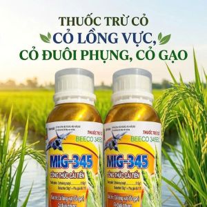 Trừ cỏ hậu nảy mầm MIG 345 chai nhôm Beeco 345 240ml: cỏ lồng vực cỏ gạo cỏ đuôi phụng không làm đỏ lúa