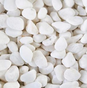 1kg Sỏi Trắng Đủ Size - Sỏi Trắng Trang Trí Sân Vườn Lót Chậu Cây Trang Trí Hồ Cá Bể Cá Thủy Sinh Hồ 7 Màu Betta Terrarium