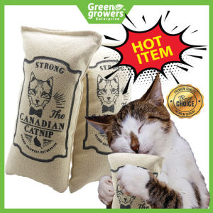 Bantal Catnip Kucing Tahan Lasak - Catnip Pillow Strong Canadian Catnip - Strong and Durable Fabric Cat nip catmint