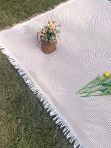 Picnic Throw Blankets Simple Outdoor Picnic Mat Comportable Soft Blankets
