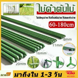 จับคู่ได้อิสระ ไม้ค้ำต้นไม้ เสาค้ำต้นไม้ หลักไม้เลื้อย เสาไม้เลื้อย ไม้ค้ำยันต้นไม้ ยาว60ซม.หนา8มม.(รังบวบ ชั้นวางมะเขือเทศ ซุ้มกุหลาบ เสามะเขือเทศ ซุ้มไม้เลื้อย ชั้นวางแตงโม ชั้นวางฟักทอง ซุ้มไม้ดอก)ท่อเหล็กPE ท่อพลาสติก