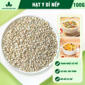 Hạt ý dĩ nếp 100g hạt bobo y dĩ nấu sữa hạt thơm bở bùi nấu chè cháo hầm gà - Chợ Thảo Dược Việt