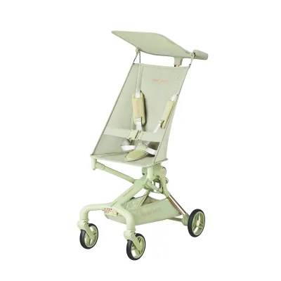 Bebe Amico Z1 Stroller (6 Months to 22 Kg)