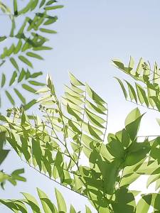 3 in 1 Humidifier fan LED Night Light Air purifier 280ml Portable Ultrasonic humidifier Essential Oil Aromatpy Diffuser Bedroom Room Office Car air humidifier Anti-Burn humidifier for living room