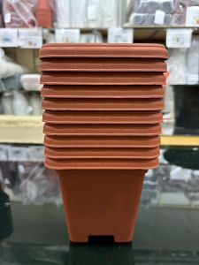 TMNHUBS Plastic กระถางต้นไม้ทรงสี่เหลี่ยม 10 ใบ ขนาด 5.5 นิ้ว กระถางปลูกกระบองเพชรแคตตัส ราคาโรงงาน