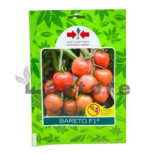 Benih Tomat BARETO F1 Isi 150 Butir Cap Panah Merah