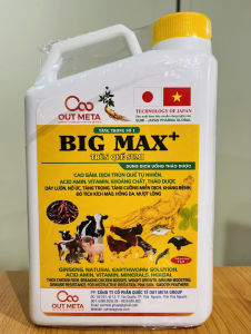 BIG MAX CAO SÂM SIÊU TĂNG TRỌNG(gia súc gia cầm)