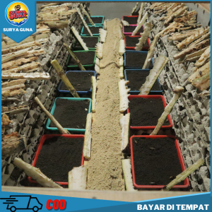 telur jangkrik alam kemasan 1 kg untuk ternak jangkrik GRATIS VITAMIN dijamin daya tetas 100% siap kirim hari ini