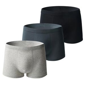 3-Piece Set Boys Boxer Briefs High Quality Cotton Breathable Teens Boxers Solid Mature Teenage Underwear Elastic Men Boxer Short2026