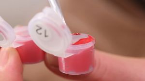 DROFE Nylon Brushes(6/10 Pieces)Special For Painting By Numbers Brushes Watercolor Gouache Paint Brushes Different Shape Round Pointed Tip Nylon Hair Painting Brush