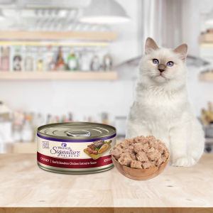Wellness CORE Signature Selects - Canned Cat Wet Food 2.8oz & 5.3oz (12 Flavours)