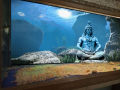 Aquarium 3d Background Sticker Fish Tank Wallpaper Decoration High-definition Shiva Series Mural Poster Supports Various Sizes And Picture Customization. 