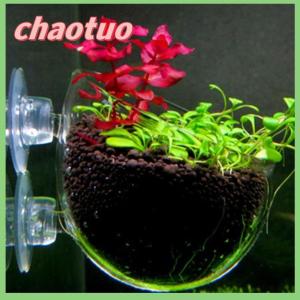 chaotuo UNIKI Fish Tank Mini Glass Pot Water Potted Aquatic Planting Cylinder Cup