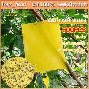 [พร้อม] ที่ดักแมลง กาวดักแมลงวัน สองด้าน แผ่นกาวดักแมลง 50/100/200/500แผ่น กับดักแมลงกินผัก เหนียวกับดักแ ดักแมลงศัตรูพืช กับดักแมลงวัน กาวดักแมลง