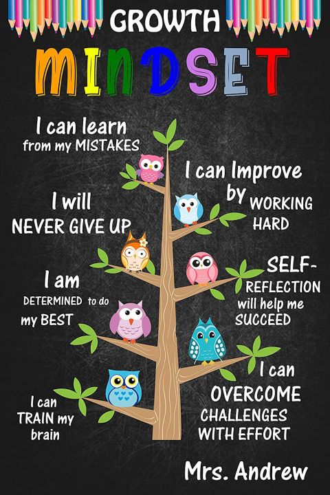 Growth Mindset Poster Owl Poster Custom Name Teacher Classroom