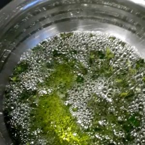 ORGANIC HAIR GROWTH HAIR OIL