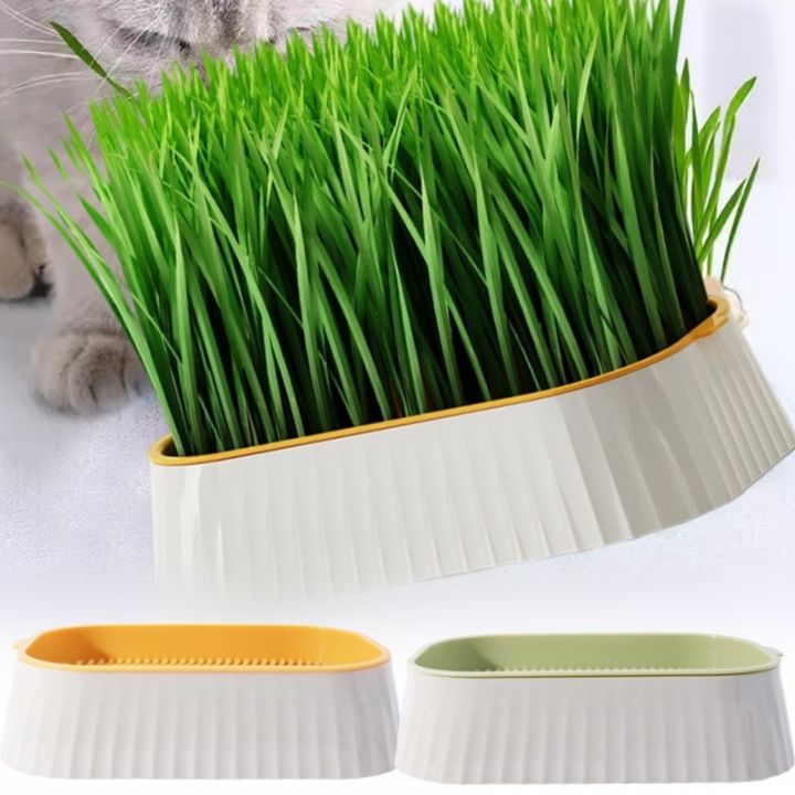ถาดเพาะชำสองชั้น สำหรับปลูกหญ้าแมว ทำจากวัสดุเกรดอาหาร