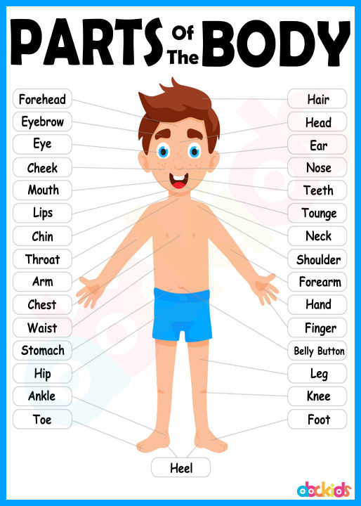 Science Learning Materials and Educational Charts For Kids | Lazada PH