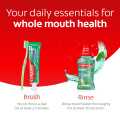 Colgate Plax Antibacterial Mouthwash - Fresh Mint, No-Alcohol, Long-Lasting Freshness, Twin Pack, 1L. 