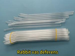 Wholesale Rabbit Semen Injector Tube Glass Reusable Artificial insemination Curved End Smooth Rod Breeding Farm Tools 50pcs